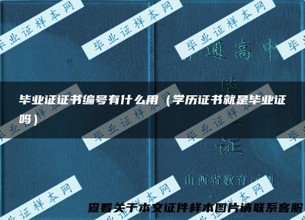 毕业证证书编号有什么用（学历证书就是毕业证吗）