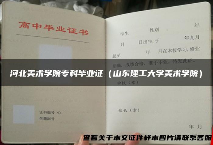 河北美术学院专科毕业证（山东理工大学美术学院）