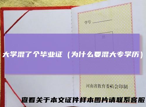 大学混了个毕业证（为什么要混大专学历）