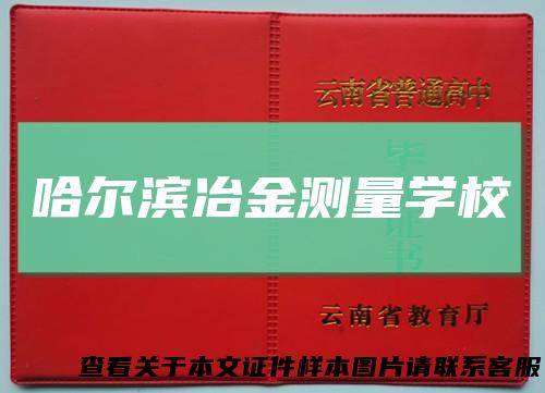 哈尔滨冶金测量学校