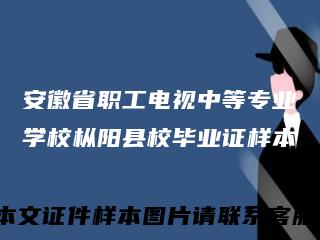 安徽省职工电视中等专业学校枞阳县校毕业证样本