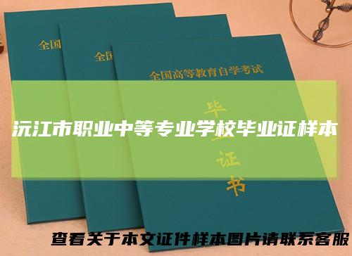 沅江市职业中等专业学校毕业证样本