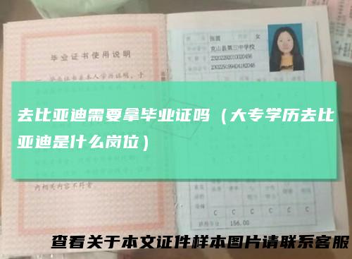 去比亚迪需要拿毕业证吗（大专学历去比亚迪是什么岗位）