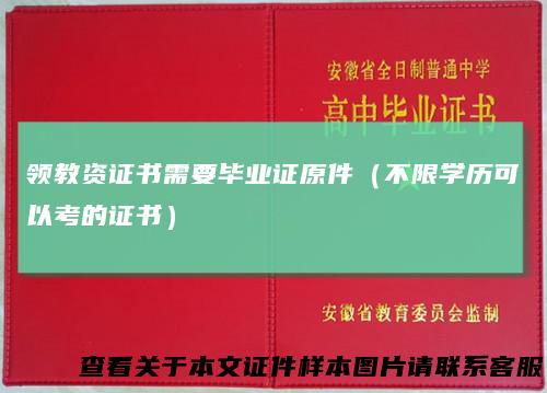 领教资证书需要毕业证原件（不限学历可以考的证书）