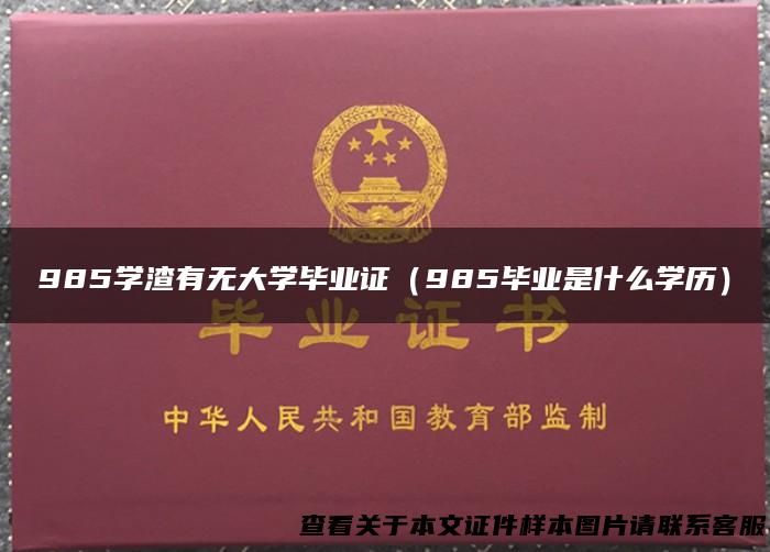 985学渣有无大学毕业证（985毕业是什么学历）