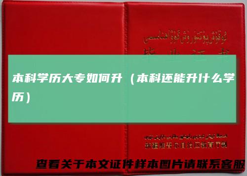 本科学历大专如何升（本科还能升什么学历）