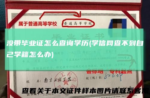 没带毕业证怎么查询学历(学信网查不到自己学籍怎么办)