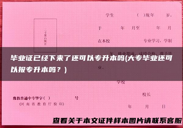 毕业证已经下来了还可以专升本吗(大专毕业还可以报专升本吗？)