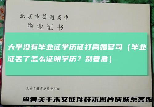 大学没有毕业证学历证打离婚官司（毕业证丢了怎么证明学历？别着急）