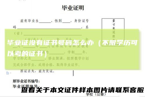 毕业证没有证书号码怎么办（不限学历可以考的证书）