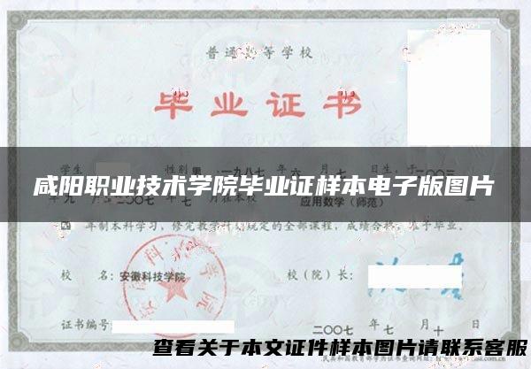 咸阳职业技术学院毕业证样本电子版图片