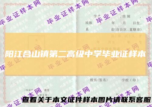 阳江合山镇第二高级中学毕业证样本