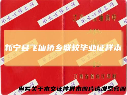 新宁县飞仙桥乡联校毕业证样本