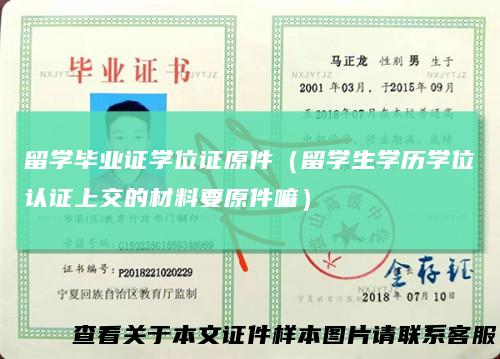 留学毕业证学位证原件（留学生学历学位认证上交的材料要原件嘛）