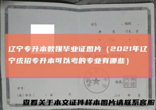 辽宁专升本数媒毕业证图片（2021年辽宁统招专升本可以考的专业有哪些）