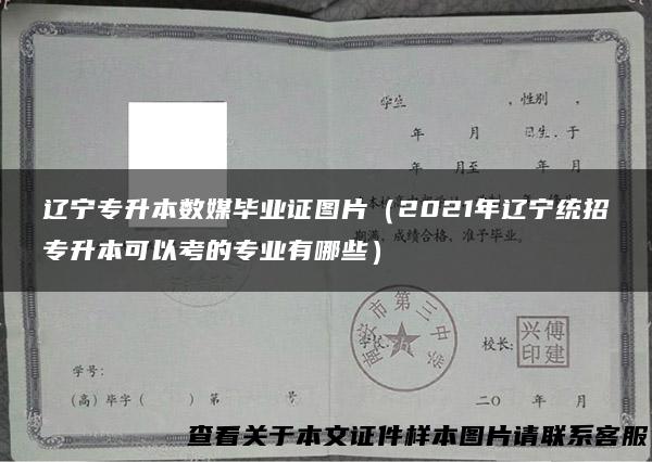 辽宁专升本数媒毕业证图片（2021年辽宁统招专升本可以考的专业有哪些）