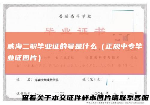 威海二职毕业证的号是什么（正规中专毕业证图片）