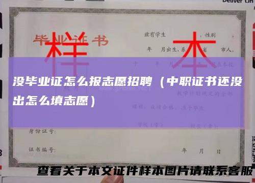 没毕业证怎么报志愿招聘（中职证书还没出怎么填志愿）