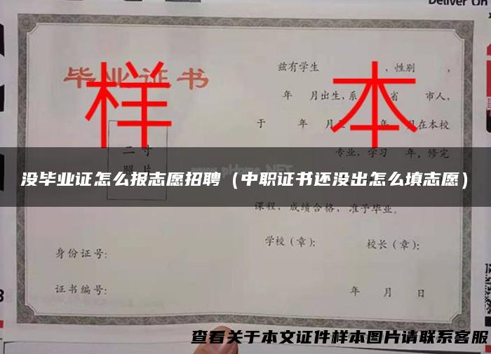 没毕业证怎么报志愿招聘（中职证书还没出怎么填志愿）