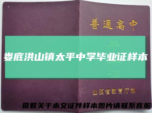 娄底洪山镇太平中学毕业证样本