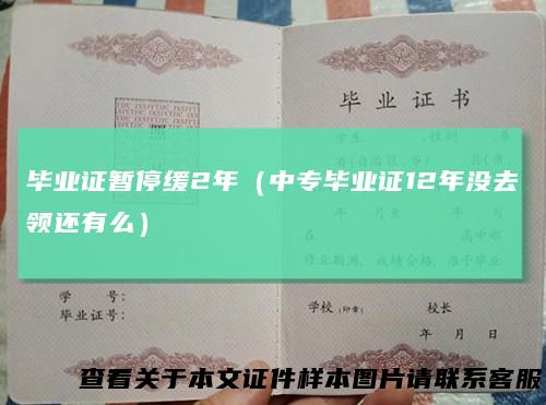 毕业证暂停缓2年（中专毕业证12年没去领还有么）