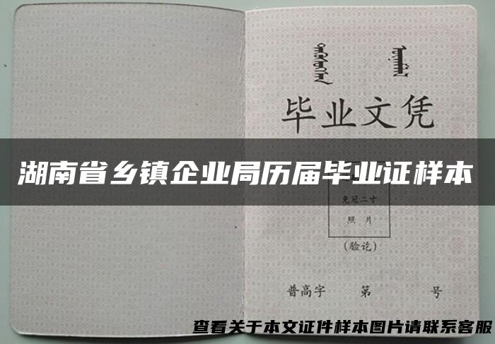 湖南省乡镇企业局历届毕业证样本