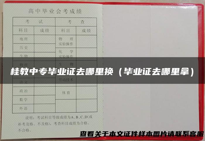 桂教中专毕业证去哪里换（毕业证去哪里拿）