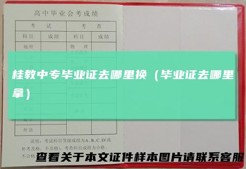 桂教中专毕业证去哪里换（毕业证去哪里拿）