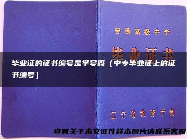 毕业证的证书编号是学号吗（中专毕业证上的证书编号）