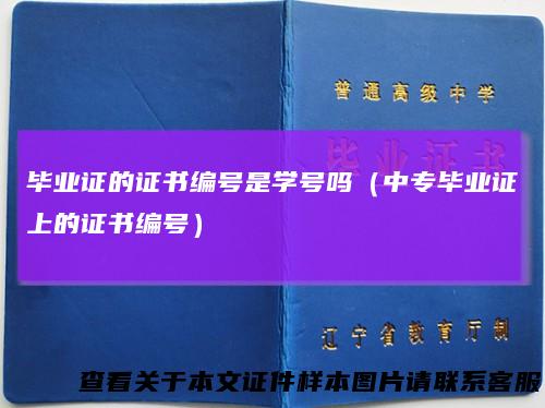 毕业证的证书编号是学号吗（中专毕业证上的证书编号）