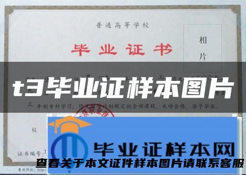 t3毕业证样本图片