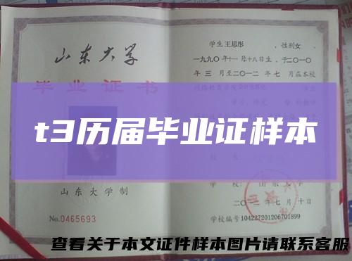 t3历届毕业证样本
