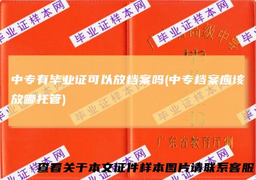 中专有毕业证可以放档案吗(中专档案应该放哪托管)