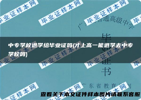 中专学校退学给毕业证吗(才上高一能退学去中专学校吗)