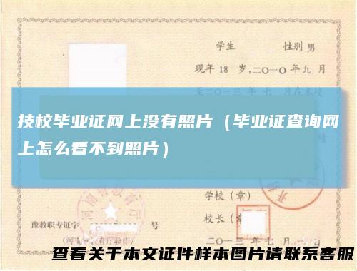 技校毕业证网上没有照片（毕业证查询网上怎么看不到照片）