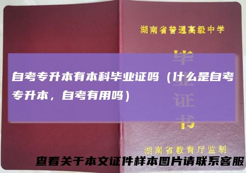 自考专升本有本科毕业证吗（什么是自考专升本，自考有用吗）