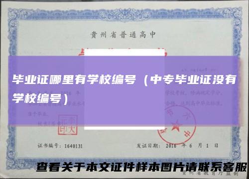 毕业证哪里有学校编号（中专毕业证没有学校编号）