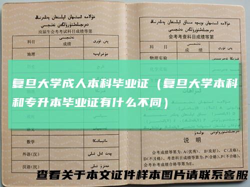 复旦大学成人本科毕业证（复旦大学本科和专升本毕业证有什么不同）