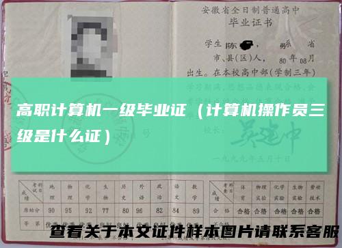 高职计算机一级毕业证（计算机操作员三级是什么证）