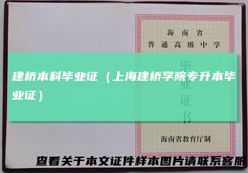 建桥本科毕业证（上海建桥学院专升本毕业证）