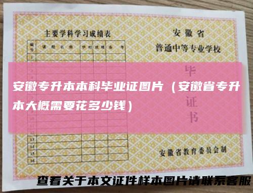 安徽专升本本科毕业证图片（安徽省专升本大概需要花多少钱）