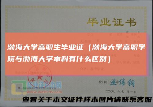 渤海大学高职生毕业证（渤海大学高职学院与渤海大学本科有什么区别）