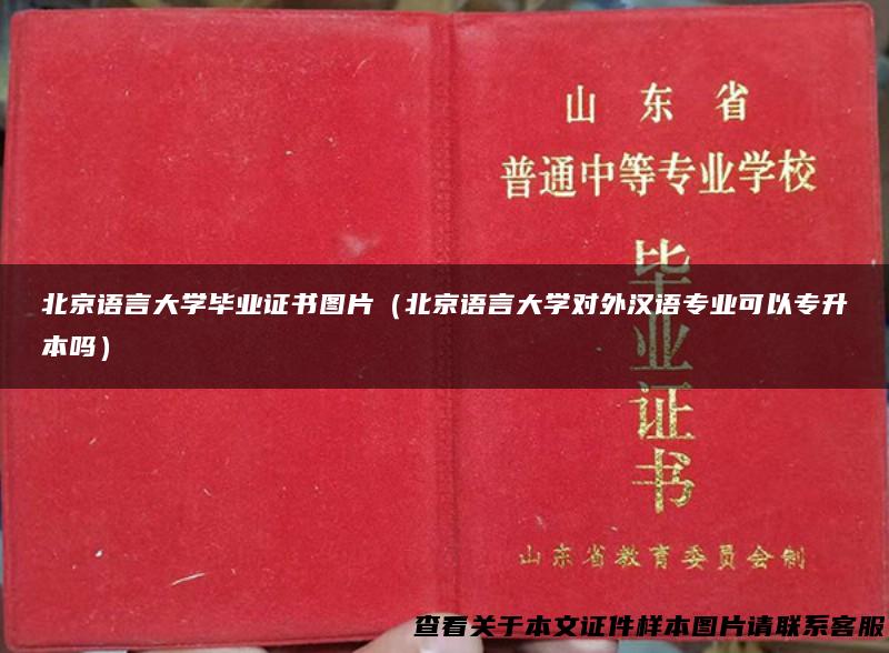 北京语言大学毕业证书图片（北京语言大学对外汉语专业可以专升本吗）