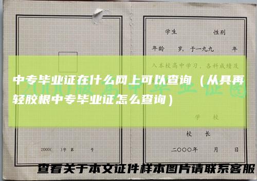 中专毕业证在什么网上可以查询（从具再轻胶根中专毕业证怎么查询）