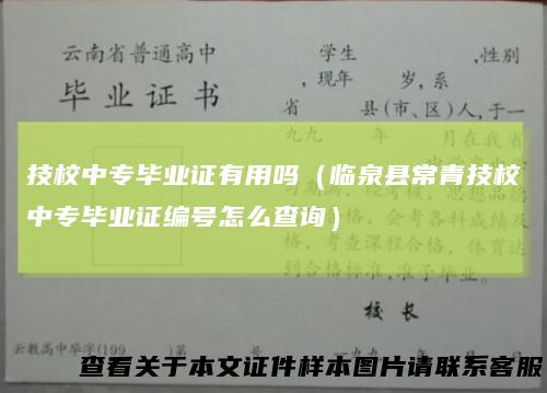 技校中专毕业证有用吗（临泉县常青技校中专毕业证编号怎么查询）