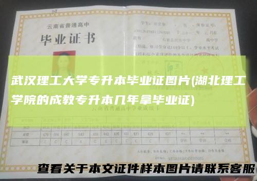 武汉理工大学专升本毕业证图片(湖北理工学院的成教专升本几年拿毕业证)