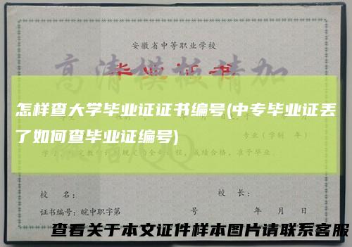 怎样查大学毕业证证书编号(中专毕业证丢了如何查毕业证编号)