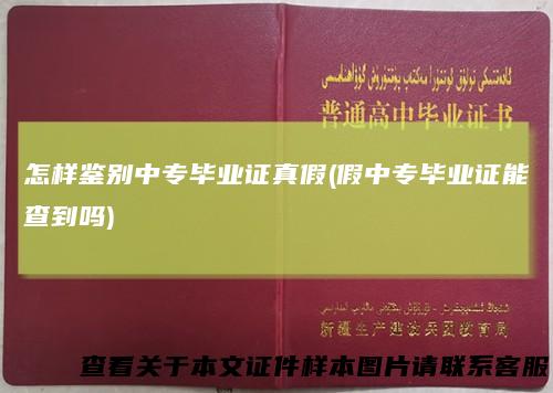 怎样鉴别中专毕业证真假(假中专毕业证能查到吗)