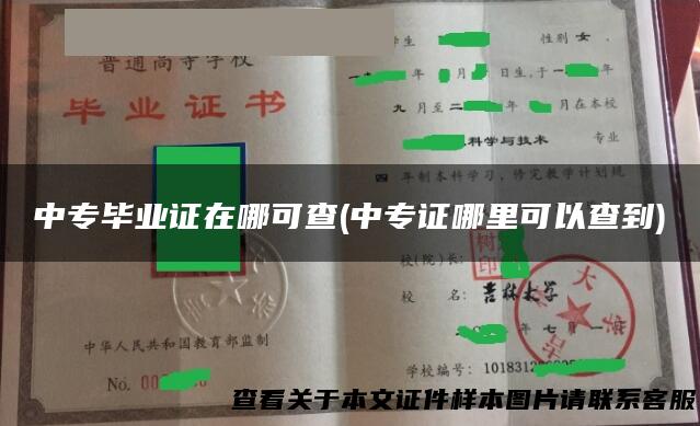 中专毕业证在哪可查(中专证哪里可以查到)