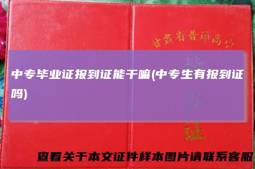 中专毕业证报到证能干嘛(中专生有报到证吗)